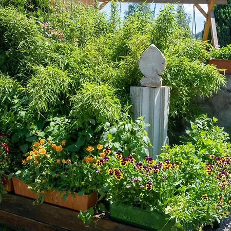 Alloggio per agriturismo Ranczo *