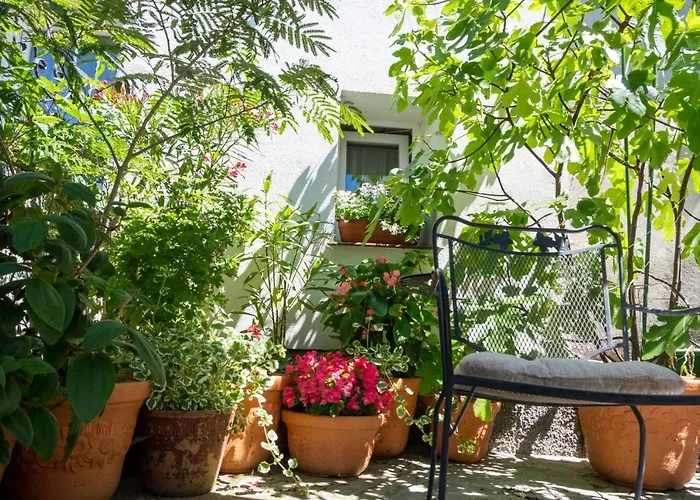 Ranczo 팜스테이 라트코프