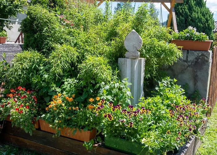 팜스테이 Ranczo *